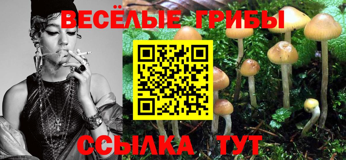хочу наркоту  Псилоцибиновые грибы GOLDEN TEACHER  Вход с VPN  Таганрог 